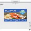 Tủ đông Hòa Phát AN6252 | 252L 1 ngăn 1 cánh