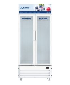 2-6-1-247x296-5 Tủ mát Hòa Phát HSR D6526 - hình số 1