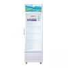 Tủ mát Sanaky VH-168KL | 130L 1 cánh