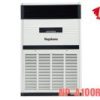 Điều hòa cây Nagakawa NP-A100R1C24 | 100000BTU 2 chiều