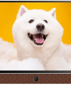 google-tivi-xac_main_770_1020-png-247x296-1-1 Tivi Coocaa 24LP6000G - hình số 1