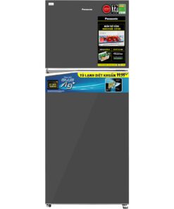 Tủ lạnh Panasonic NR-TV301VGMV - hình số 1
