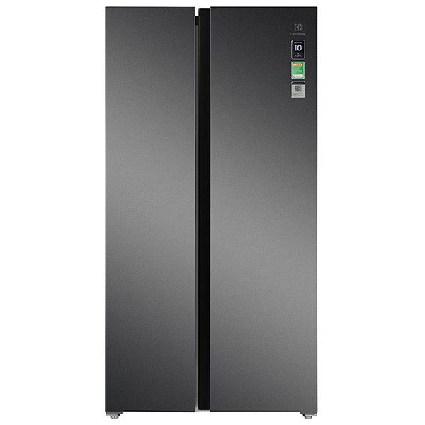 Tủ lạnh Electrolux ESE6600A-AVN | 624L 2 cánh inverter