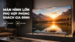 Tivi TCL 65P7L | 65 inch 4K QLED Google
