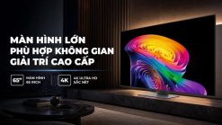 Tivi LG OLED65C6PSA