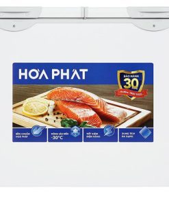 tu-dong-hoa-phat-hpf-ad83521-1-1-700x467-1-247x296-jpg-2 Tủ đông Hòa Phát AD8352 - hình số 1