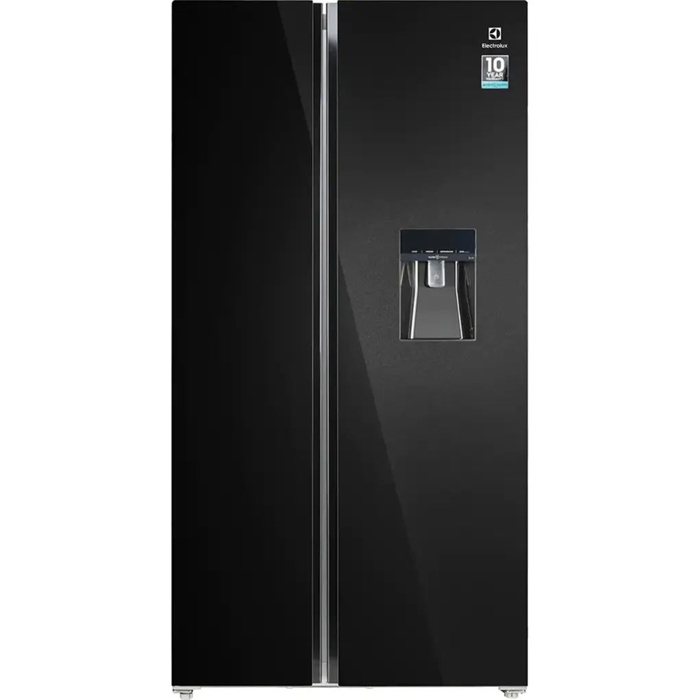 Tủ lạnh Electrolux ESE6645A-BVN | 619L 2 cánh inverter