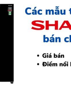 top các mẫu tủ lạnh Sharp đáng mua