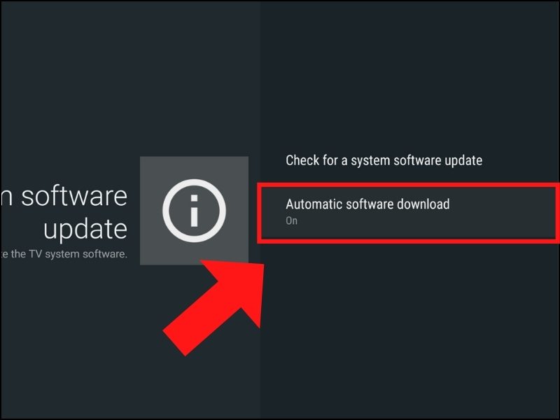 Bật Automatically check for update (Tự động kiểm tra bản cập nhật).