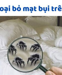 Cách loại bỏ mạt bụi trên nệm