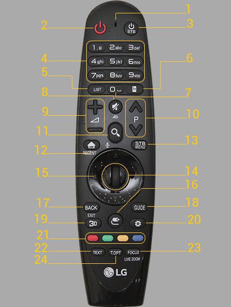 Magic remote LG