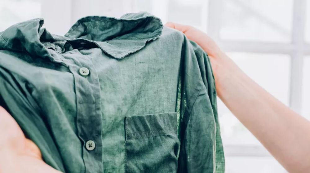 Kiểm tra vết bẩn do nấm mốc