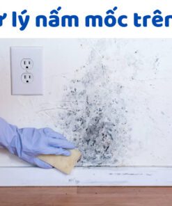 Cách xử lý nấm mốc trên tường