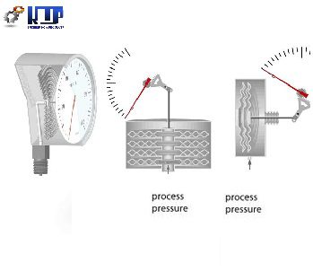 capsule-principle-jpg
