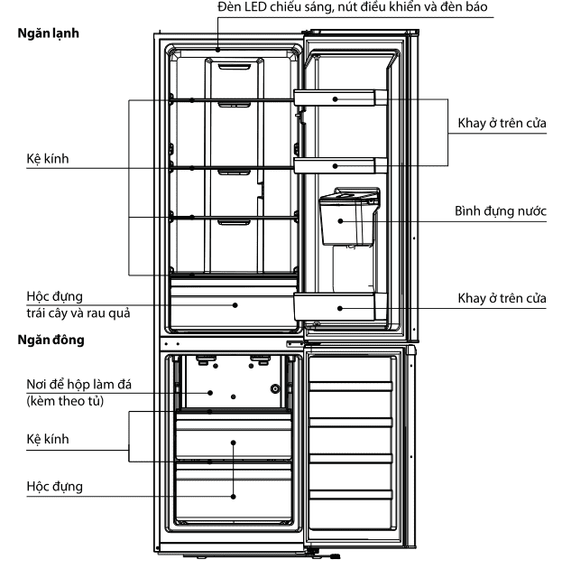 Cấu Tạo Tủ Lạnh Toshiba 2 Cánh Ngăn đá dưới