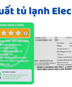 cong-suat-tu-lanh-electrolux-247x296-1-3 Công Suất Tủ Lạnh Electrolux