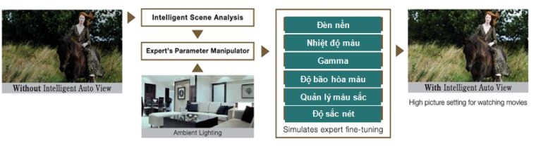1. Intelligent Auto View được hiểu là gì?