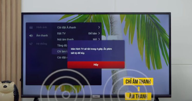 Bạn nhấn nút OK trên điều khiển thì màn hình sẽ xuất hiện ô màn hình tivi tcl sẽ tắt trong vòng 5s dù đang nghe nhạc