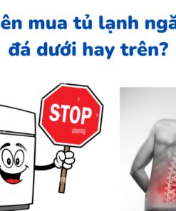 Nên mua tủ lạnh ngăn đá trên hay dưới: So sánh loại nào tốt?