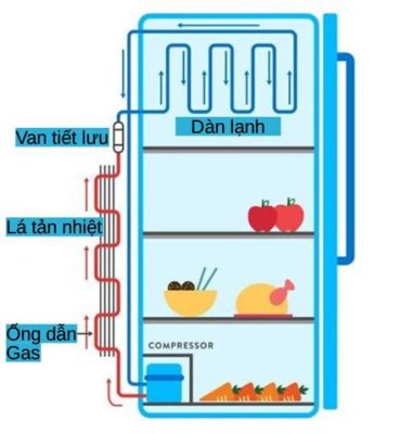 nguyên lí làm việc tủ đông