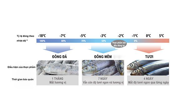 nhiệt độ đông mềm chuẩn là -3 độ c