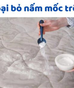 them-tieu-de-247x296-jpg-2 Cách xử lý nệm bị nấm mốc hiệu quả