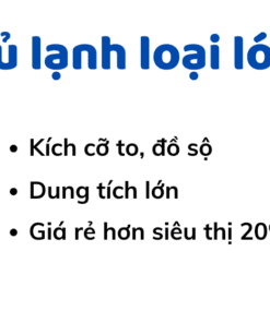 Tủ lạnh loại lớn