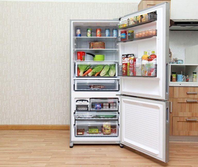 Tủ lạnh ngăn đá dưới là gì?