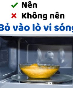 Vật Liệu Nên Và Không Nên Cho Vào Lò Vi Sóng